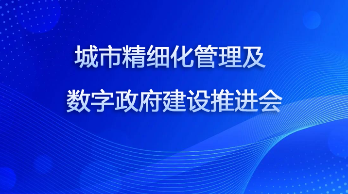 数字政府建设推进会副本.png